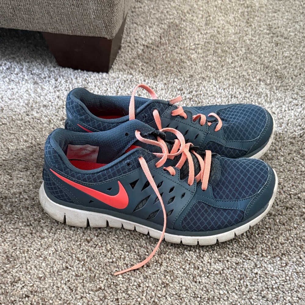 Blue and Pink Nike Flex 2013 Run